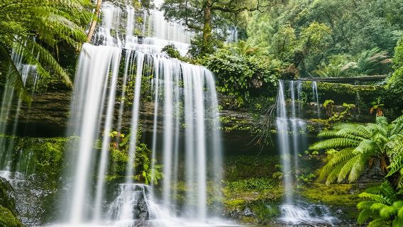 Tagesausflug in Mt. Field, Mt. Wellington, Bonorong Wildlife Sanctuary und Richmond