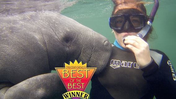 Manatee Snorkel Tour from American Pro Diving Center