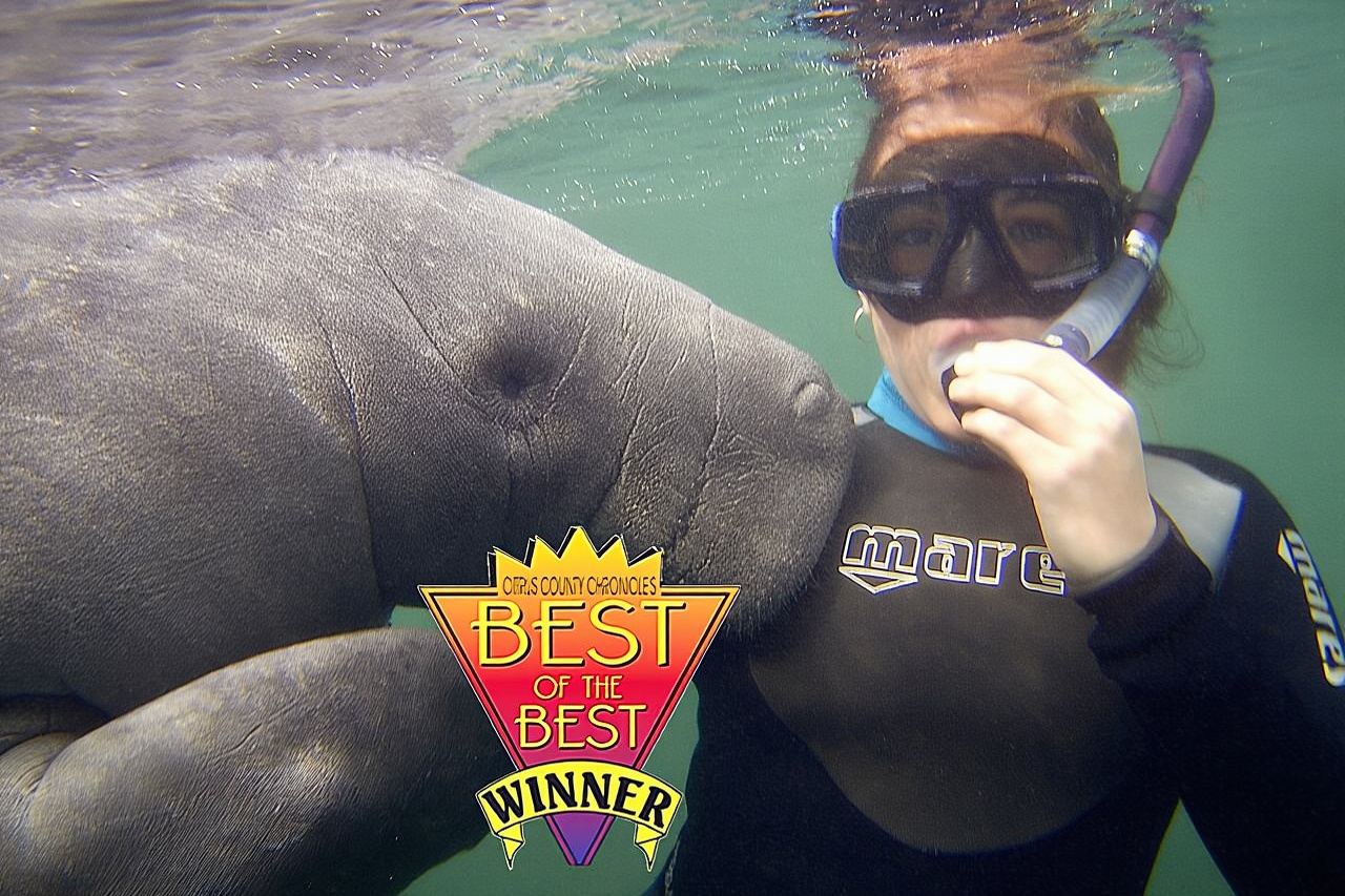 Manatee Snorkel Tour from American Pro Diving Center
