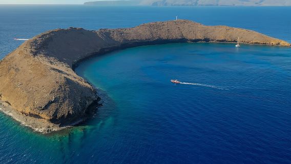 Maui: Molokini Crater and Turtle Town Snorkeling From Kihei