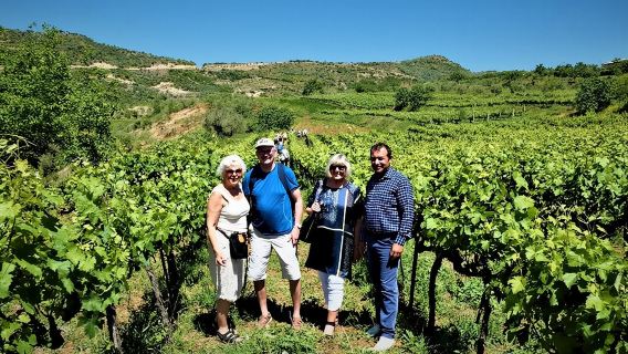 Lawatan menikmati anggur di kilang wain Alpeta - kampung Roshnik oleh 1001 Albanian Adventures