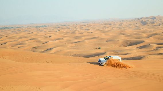 Full-Day Guided Red Dunes Desert Tour in Dubai with Camel Ride