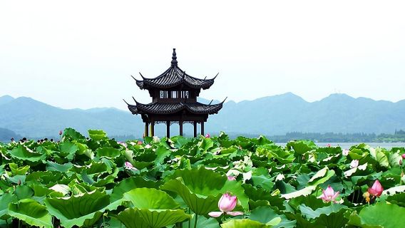 Hangzhou: Un paraíso en la tierra. Excursión de un día desde Shanghái con crucero por el Lago del Oeste.