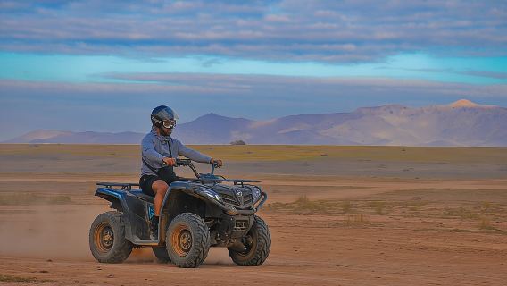 Half-Day Palm grove desert Quad & Camel Tour