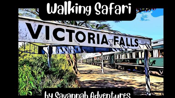 Wandersafari durch Victoria Falls Town