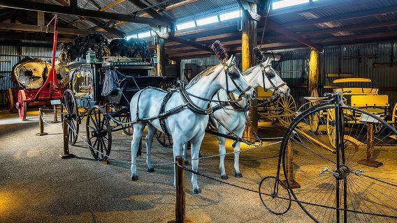 Biglietto d'ingresso allo storico villaggio di Herberton