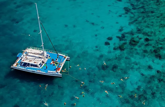基韋斯特礁浮潛－早晨含羞草雞尾酒或下午瑪格麗塔雞尾酒