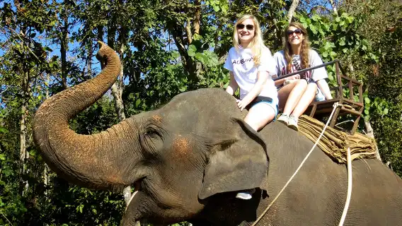 泰國芭達雅safari沙發里大象村騎象/飛躍/騎馬/射擊