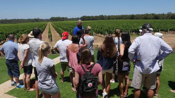 Visite des vignobles de Margaret River : La bouteille complète