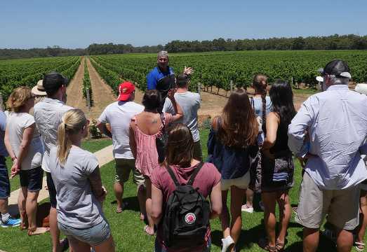 Margaret River Wine Tour: The Full Bottle AUD 188.38