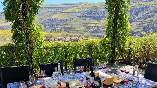 Douro Vallei-Expertengids-Boot-Lunch-Proeverijen-Gratis wijnfles