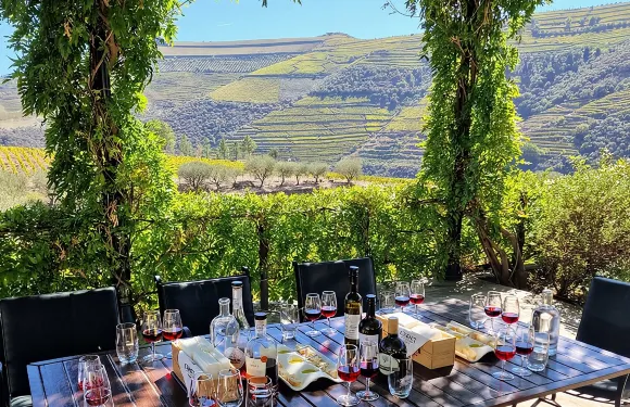 杜羅河谷 - 專家導覽 - 乘船遊覽 - 午餐 - 品酒體驗 - 贈送葡萄酒