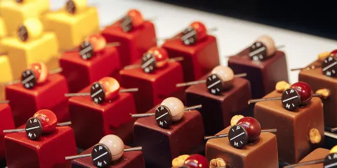 布魯塞爾朱古力步行導覽及工作坊