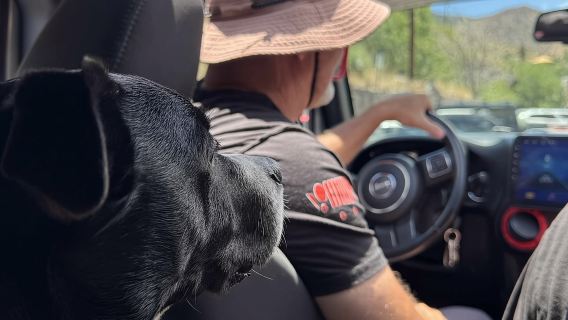 2-Hour Private Jeep Tour of Old Bisbee, Lavender Pit & Lowell AZ