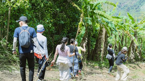 Nha Trang Hiking and Paragliding Adventure with Pilot