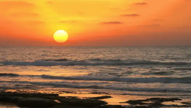 亞庇Kawa紅樹林一日遊【碼頭集合/飯店接載可選+天鏡可選】