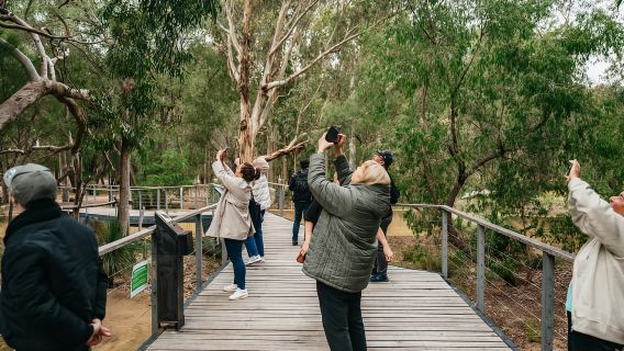 Perth: Pinnacles Desert Sunset and Stargazing with Dinner