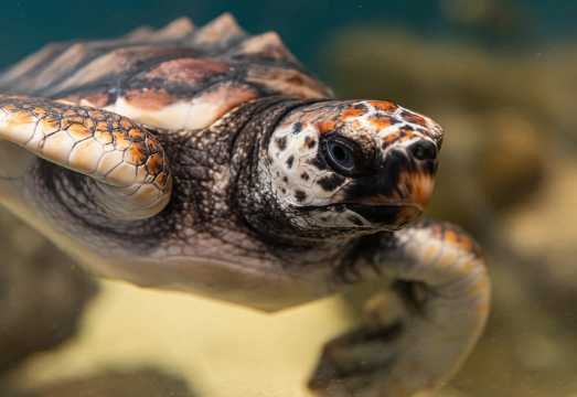 Marine Discovery Centre Bunbury: What to Expect Before You Book