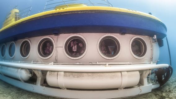 Puerto de la Cruz: Submarine Trip and Beach Stop in Tenerife