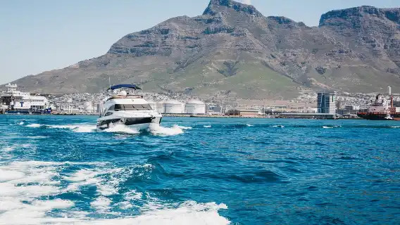 เคปทาวน์: ล่องเรือชายฝั่งและซูชิ 14 ชิ้น