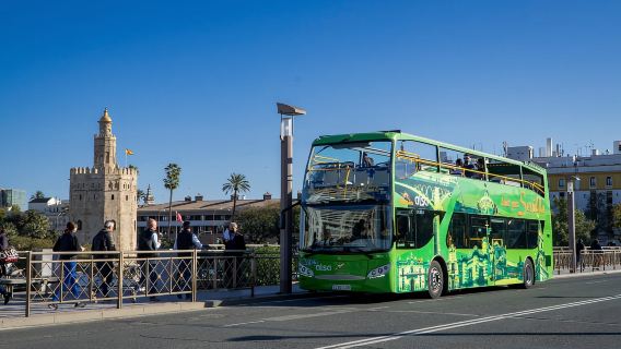 Combo: Hop on hop off + Flamenco Show & Walking tours