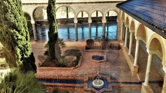 Desde Alicante visita: Centro de Valencia