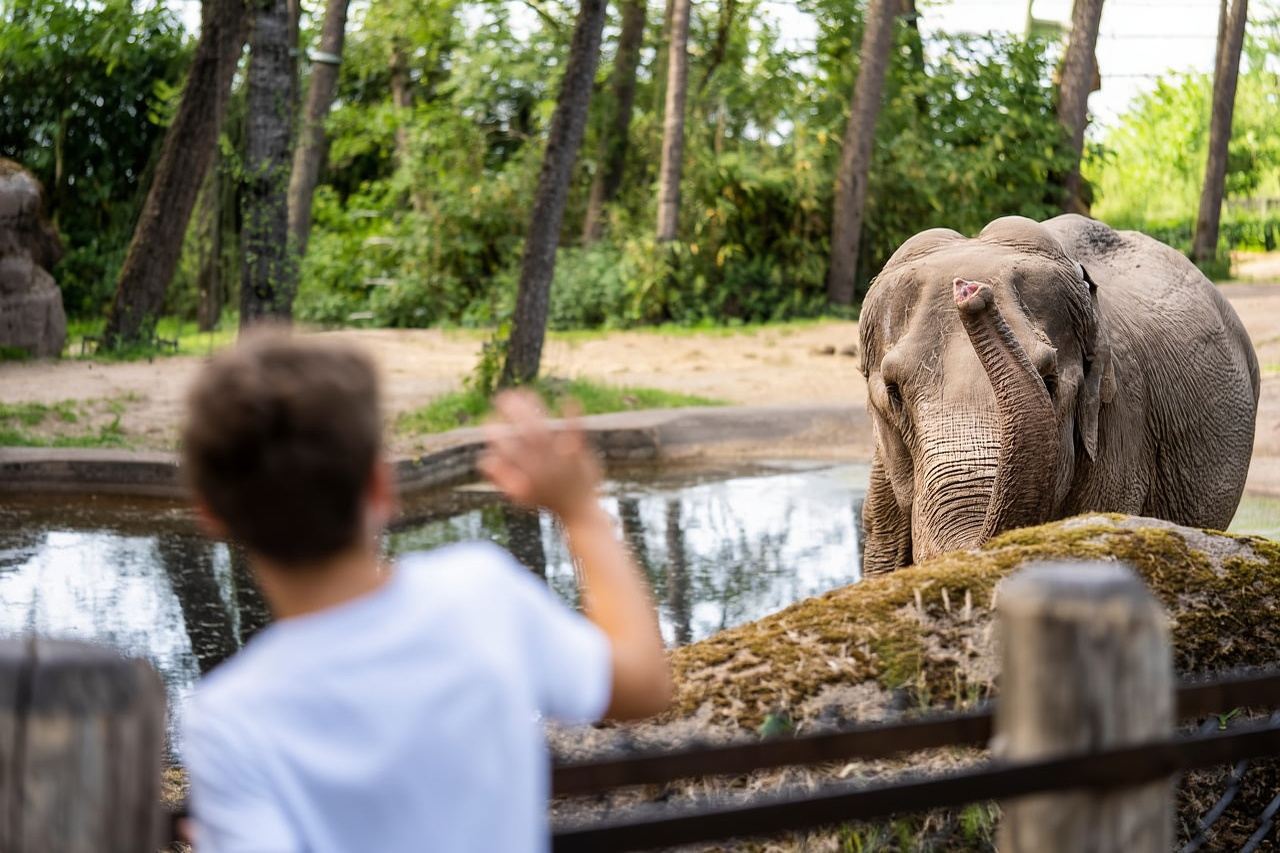 Arnhem: biglietto d'ingresso al Burgers' Zoo