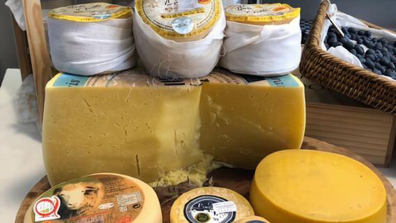 Porto: Käse- und Portweinprobe an einem einzigartigen Ort