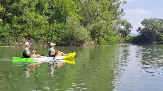 Skadar Lake kayak rent: A Journey Through Tranquility