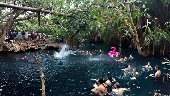 Moshi : Kikuletwa Hot Springs Day Trip with Transfers