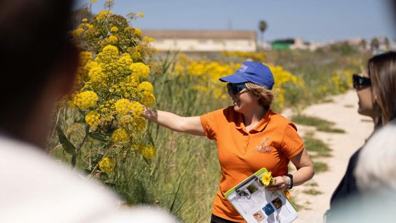 Salina Maria Stella di Trapani: Vogelbeobachtung auf der Suche nach Flamingos
