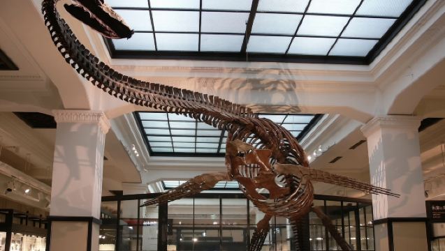 日本東京國立科學博物館專業導覽|導遊|地陪|研學團 服務