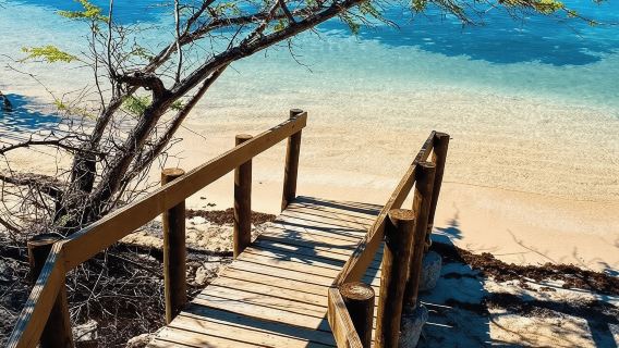 Puerto Rico: Experiencia 4 en 1: Cascadas, Playas y Senderismo