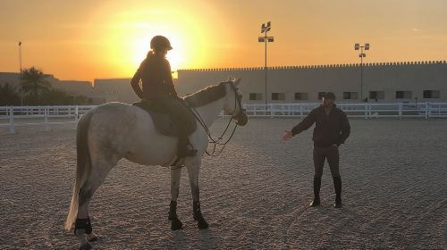 Abu Dhabi Horse Riding Experience 7