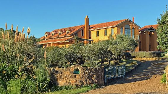 Île Waiheke : Visite artistique privée avec déjeuner