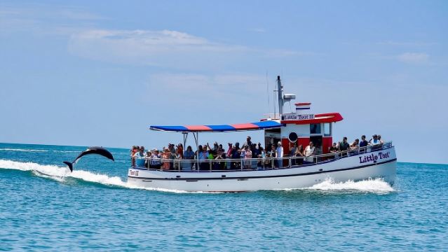กิจกรรมผจญภัยโลมาน้อยที่หาดเคลียร์วอเตอร์