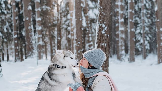 รีกา: ประสบการณ์ลากเลื่อนด้วยสุนัขฮัสกี้