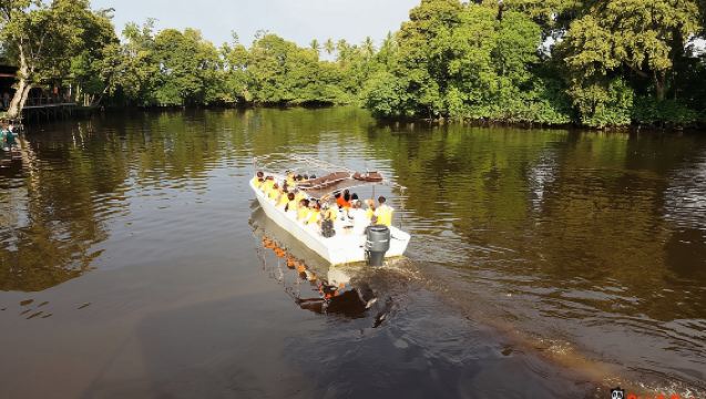 【コタキナバル発】ボルネオ島 マングローブジャング リバークルーズ 半日ツアー（船内夕食・送迎あり・日本語ガイド）