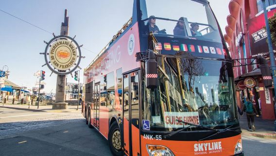 2 Day Hop-On Hop-Off & Night Tour