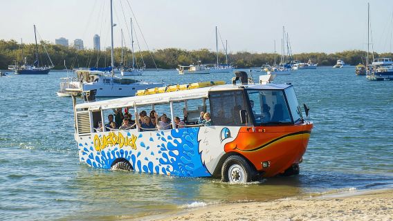 Surfers Paradise: Passeio Guiado de Ônibus Anfíbio na Gold Coast