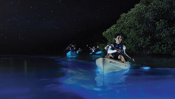 Overnight Bio Bay Kayak Tour in Vieques Island