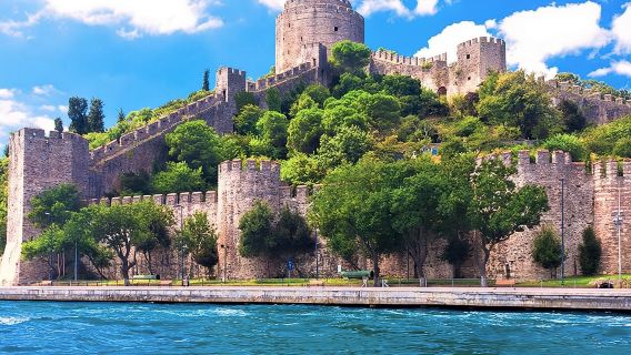Bosphorus, Black Sea & Dolmabahce Palace: Boat Tour with Lunch + Entry