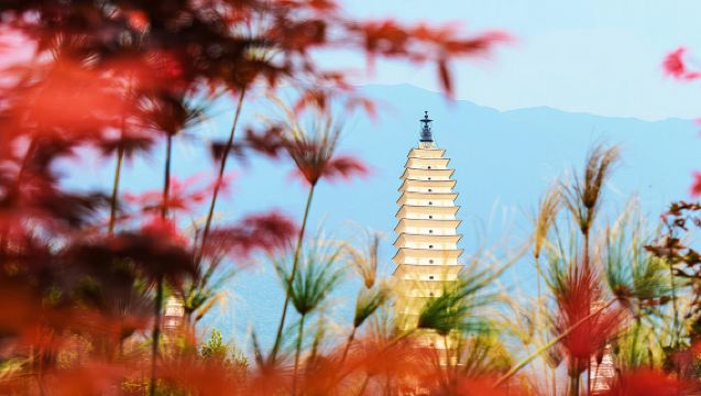 大理崇聖寺三塔+喜洲+洱海+洱海遊船+雙廊+南詔風情島一日遊