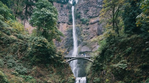 Afternoon Half-Day Multnomah Falls and Columbia River Gorge Waterfalls Tour from Portland