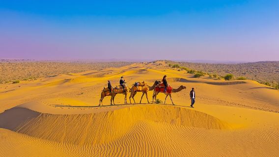 Angenehme, nicht-touristische Kamelsafari mit Übernachtung (Von 14:00 Uhr bis ca. 10:30 Uhr)