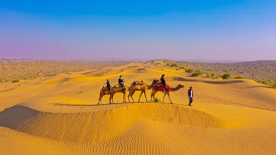Piacevole safari notturno in cammello non turistico (dalle 14:00 alle 10:30 circa)