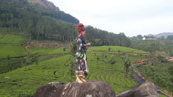 Munnar Tea Plantation Walk with Sunset View (By Munnar Info)