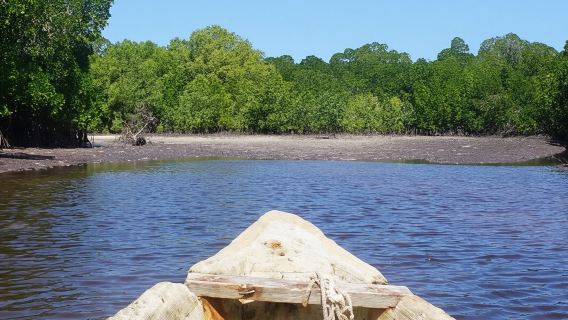 Mida Creek Promenade und Kanufahrt