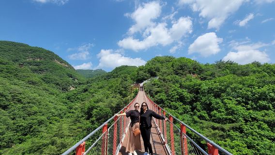 Insightful DMZ Tour by Expert opt. Suspension Bridge with Pickup