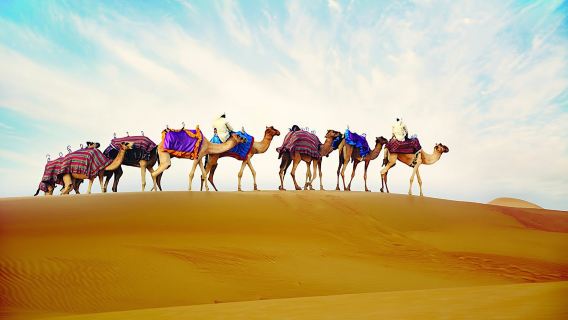 Camel ride with optional dinner at the camp in Ras Al Khaimah
